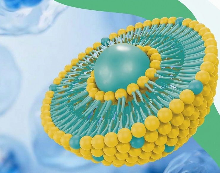 Core Competence for Nutraceutical Solutions